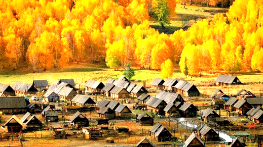 禾木村秋景1.jpg