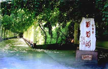 葡萄沟.jpg