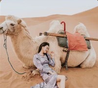 优秀团队导游